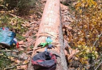 Découverte du métier de « Sanglier »