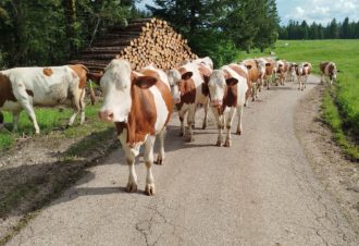 Chalet le Petit Prince