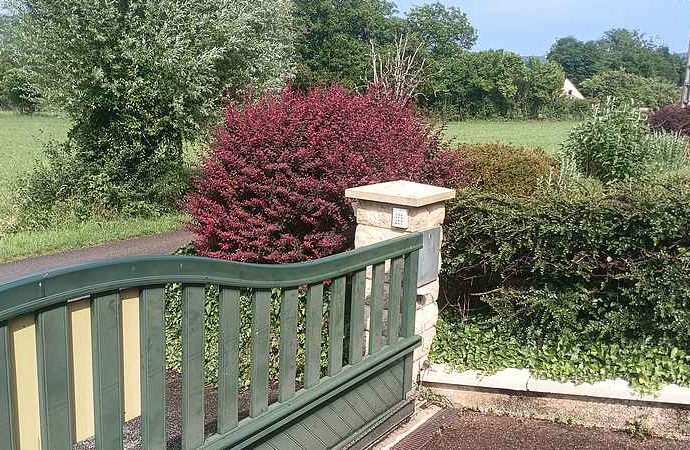 IMG_20250603_165626_790