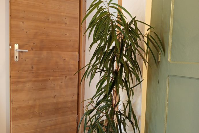 IMG_20250829_125950 (2)