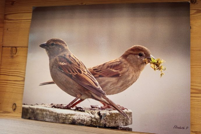 IMG_20250829_130045 (1)