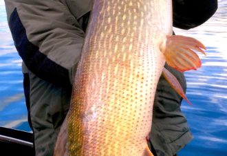 Pêche au lac de Chalain