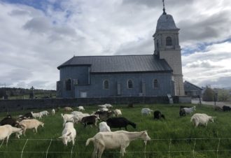 Ferme de la Fruitière