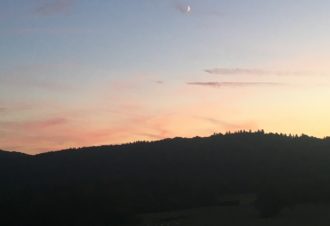 Éducatrice environnement