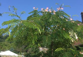 Gîte des Trois Petites Notes