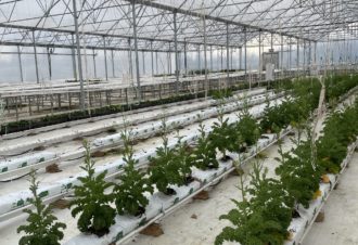 La ferme Païdeia