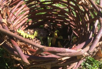 Éducatrice environnement