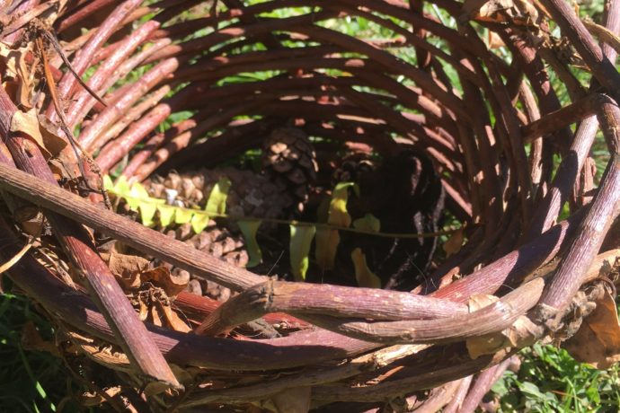 Vannerie sauvage et anarchique