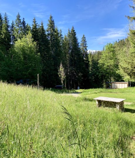 Camping-Chalets La Favière