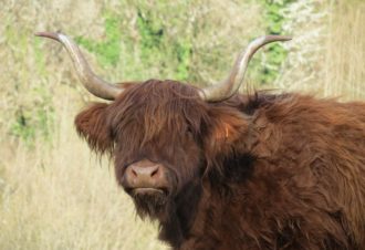 Parc Héria – Parc animalier du Hérisson