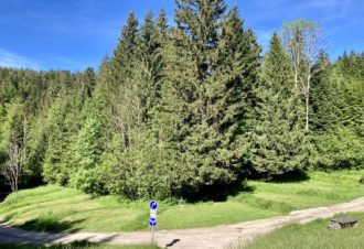 Camping-Chalets La Favière