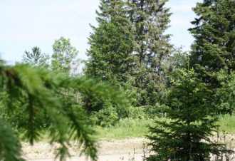 Appartement dans chalet – P401COU00