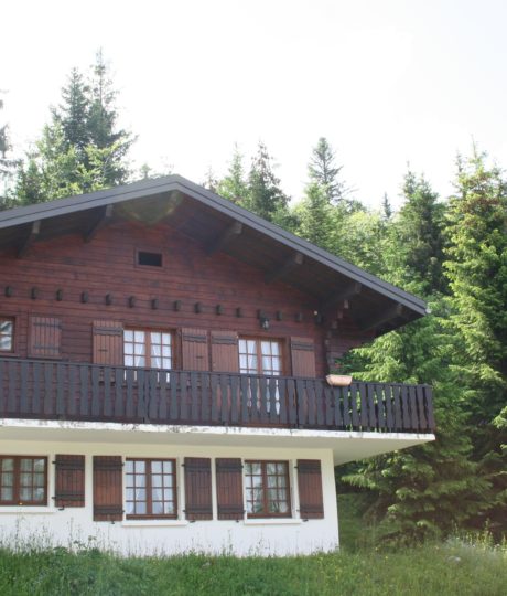 Appartement dans chalet – P401COU00