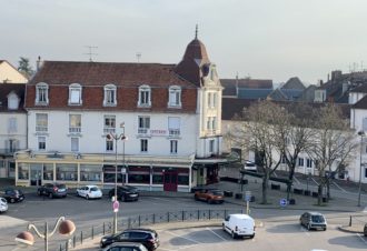 Studio Marguerite Cow