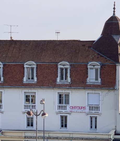 Studio Marguerite Cow