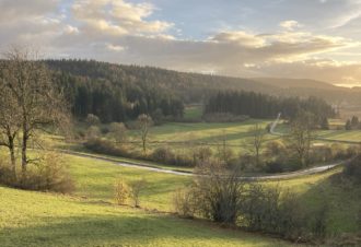 Chalets Charme, Cèdre, Frêne, Sapin – La Favière