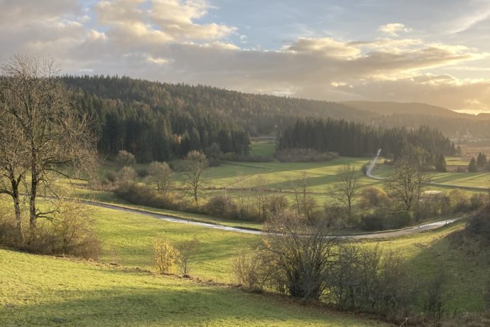 Vue des chalets