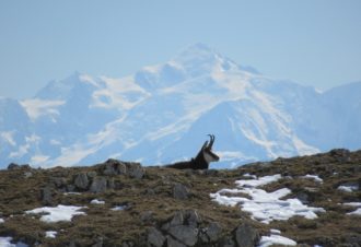 Lucas Humbert – Accompagnateur en Montagne
