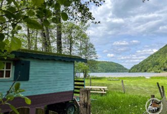 Parc animalier du Hérisson