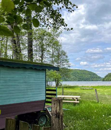 Parc animalier du Hérisson