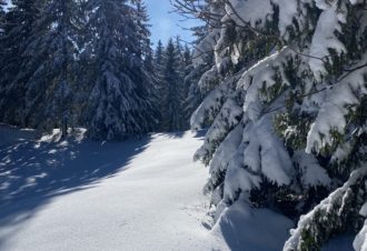 Le Quatorze