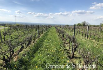 Domaine de la Bougarde