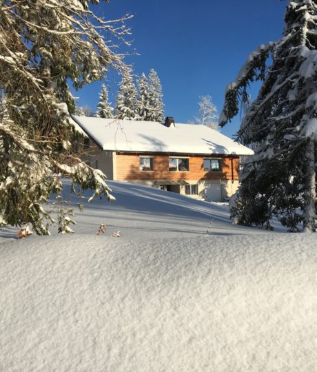Le Chalet des Noisettes, appt la Dôle
