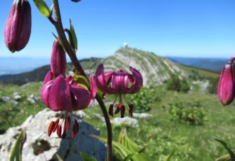 Lucas Humbert – Accompagnateur en Montagne