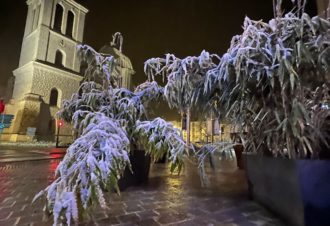 Bistrot Brasserie- Chez maurice