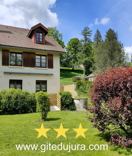 Appartement Souvet n°829