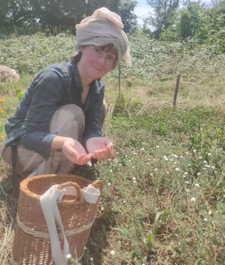 Tisanes et Bourgeons