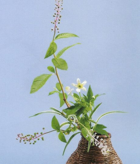 Ikebana : Art floral Japonais