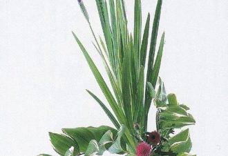 Ikebana : Art floral Japonais