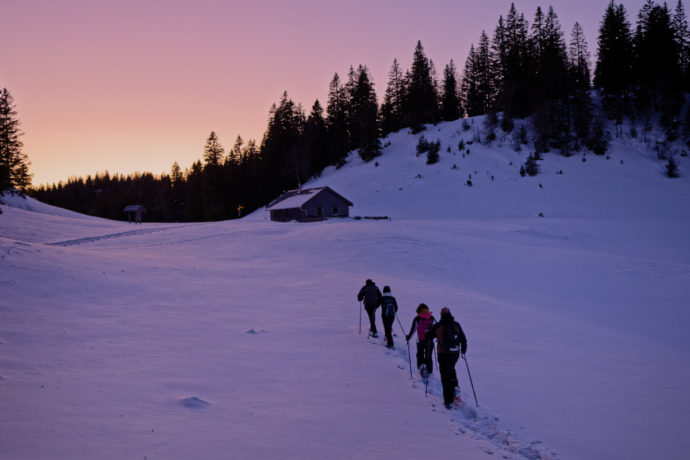 Randonnée en raquettes