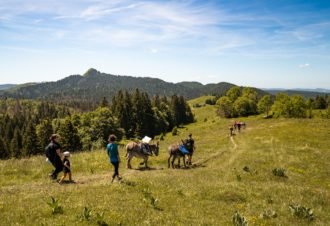 Jura Rando