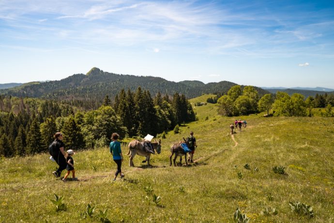 JURA_RANDO_HD_©ALBIN_PANISSET (14)