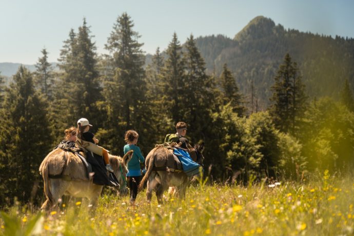 JURA_RANDO_HD_©ALBIN_PANISSET (15)