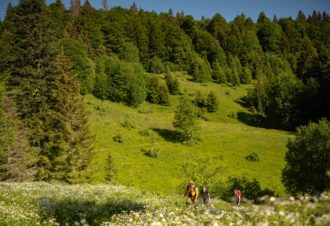 Jura Rando