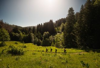 Jura Rando