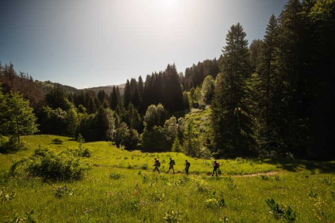 JURA_RANDO_HD_©ALBIN_PANISSET (7)