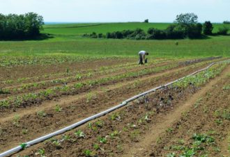 Les Jardins de Théia