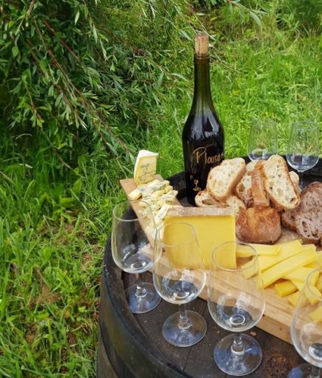 Balade oenologique à VTT – Jura Ride