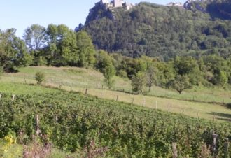 L’Île aux Fruits Rouges