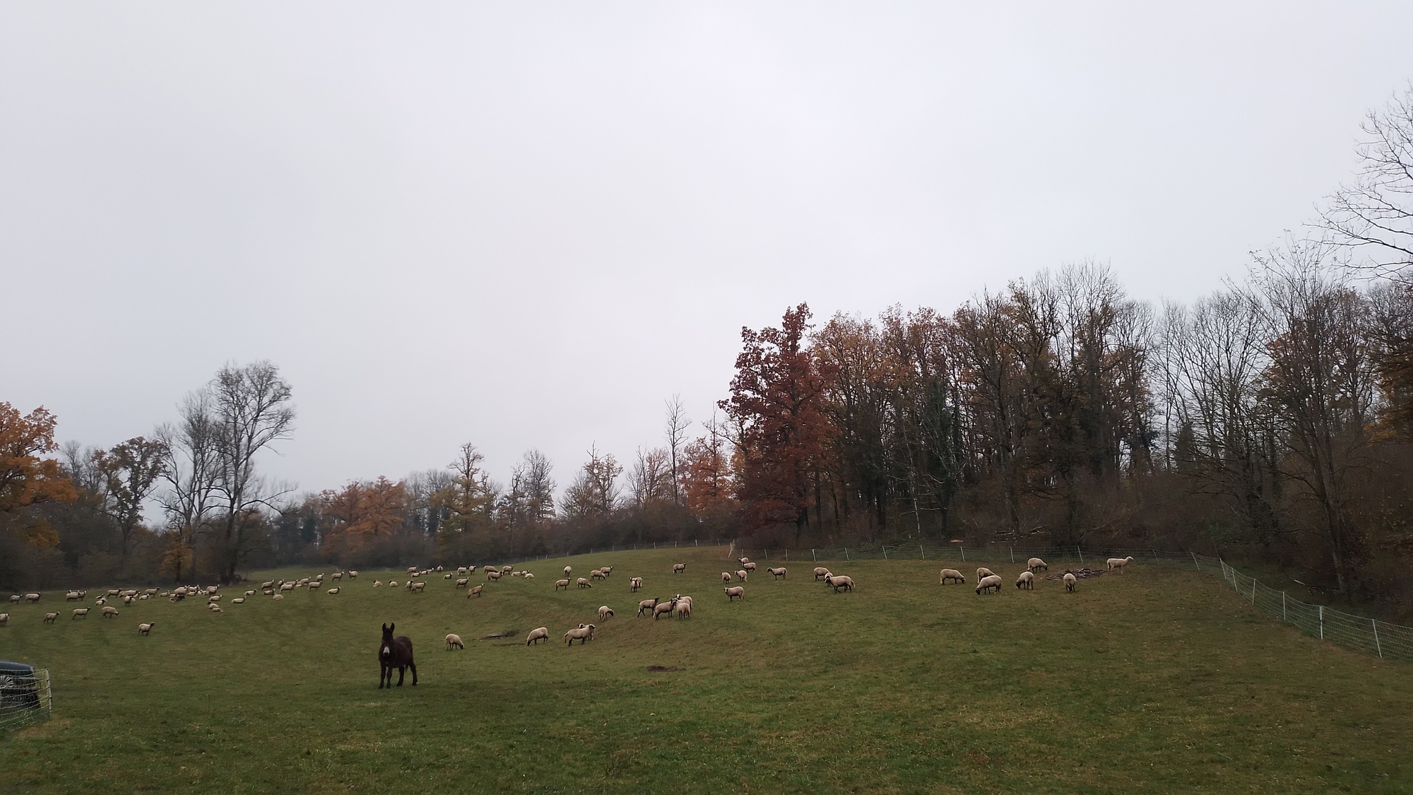 Camping à la Ferme de l’Âne Eria