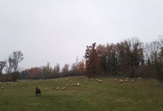 Ferme de l’âne d’Eria