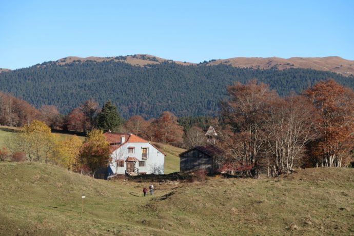 LES_MOLUNES_PLATIERES_OCTOBRE_©ZELIE_DECONFIN (5)