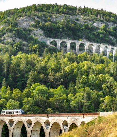 Excursion accompagnée particuliers – Ligne des Hirondelles