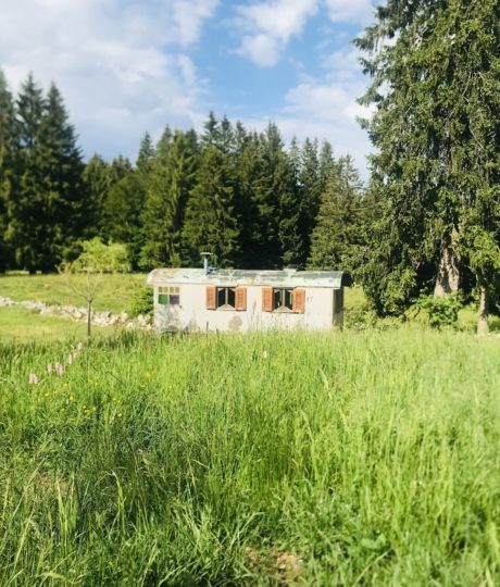 181815Les Loges du Coinchet – La Quinette