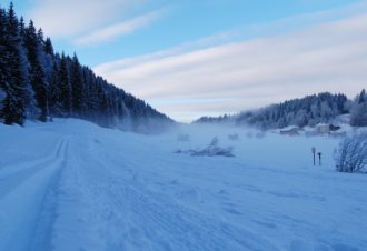 Meublé Le Logis de Pimpi