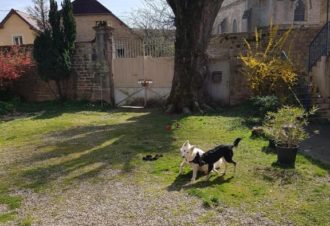 La petite maison du gardien